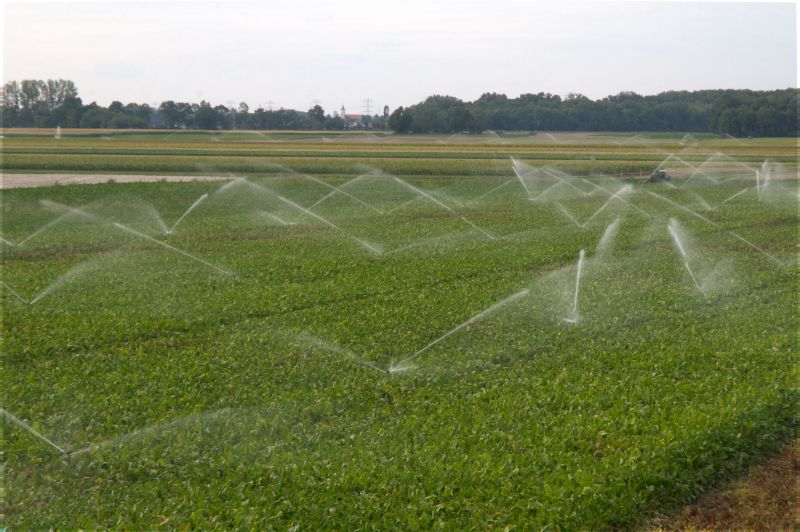 Field Irrigation Installation in Ventura County, CA