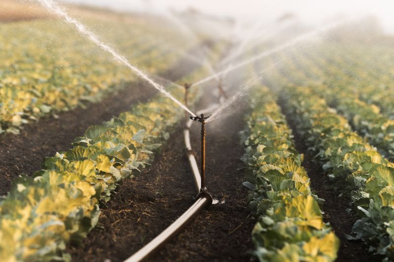 Plant Irrigation Installation in Honolulu, HI
