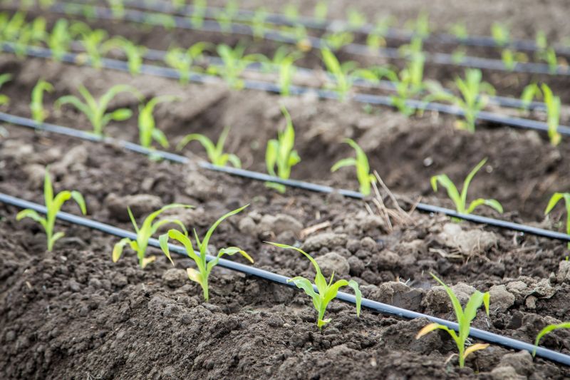 Underground Irrigation Service in Aiken, SC