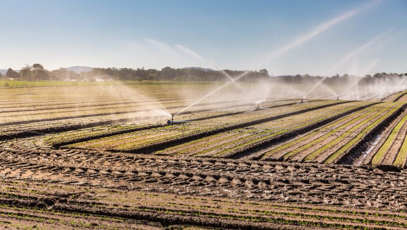 Commercial Irrigation Service in Aiken, SC