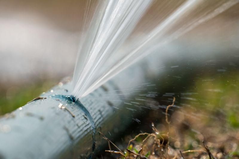 Damaged Sprinkler Repair in Honolulu, HI