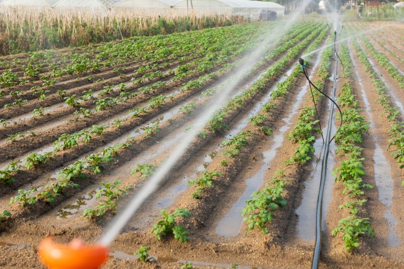 Field Irrigation Installation in Aiken, SC