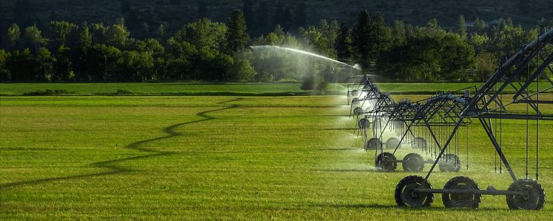Garden Irrigation Installation in Aiken, SC