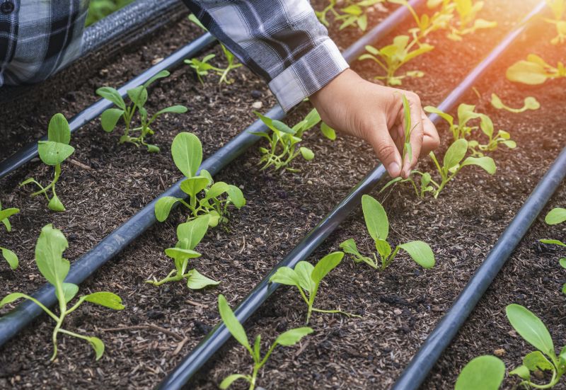 Garden Irrigation Installation in Ventura County, CA