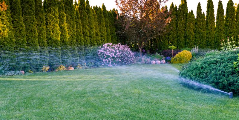 Grass Sprinkler Installation in Aiken, SC