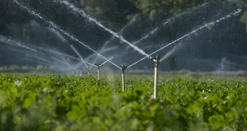 Inground Irrigation Service in Ventura County, CA