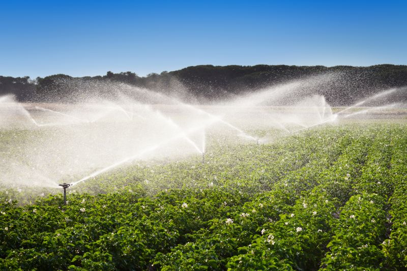 Irrigation Installation in Honolulu, HI