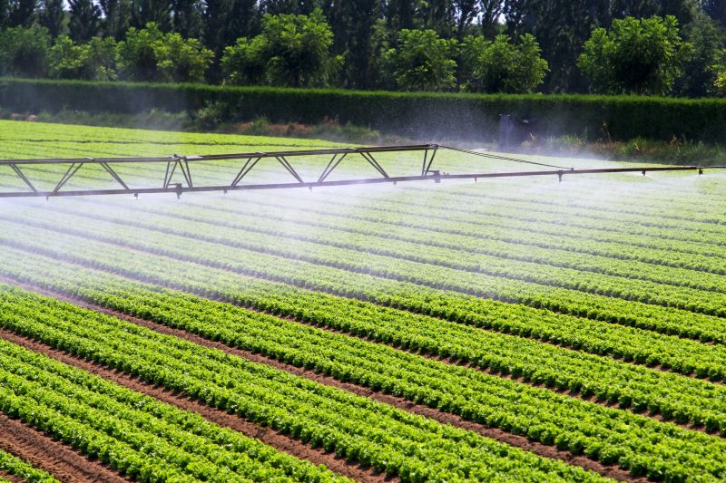 Mist Irrigation Installation in Aiken, SC