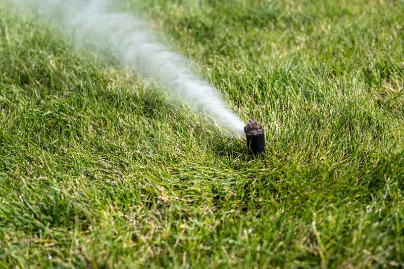 Sprinkler Blowout Service in Carson City, NV