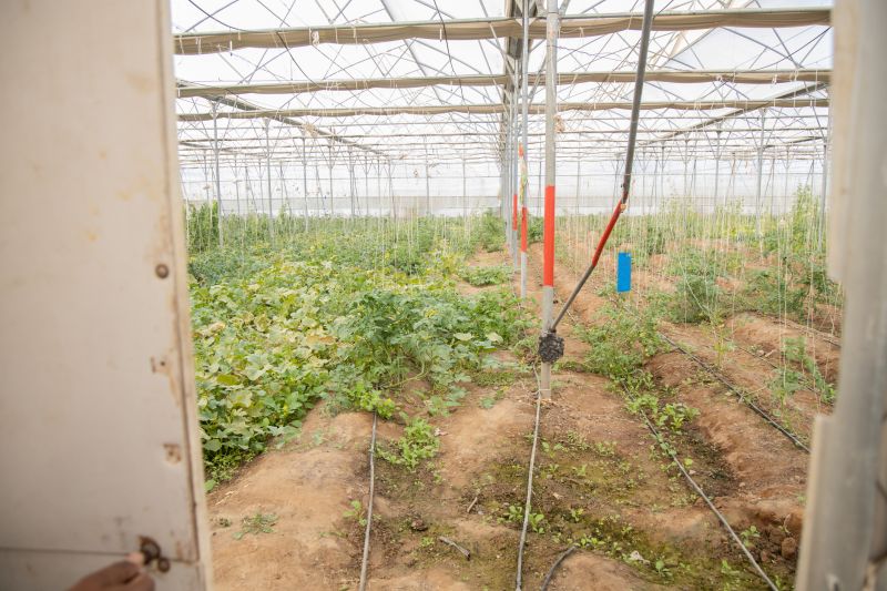 Underground Irrigation Service in Ventura County, CA