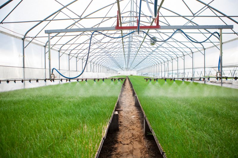 Watering System Installation in Honolulu, HI