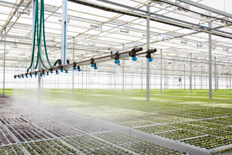 Watering System Installation in Honolulu, HI