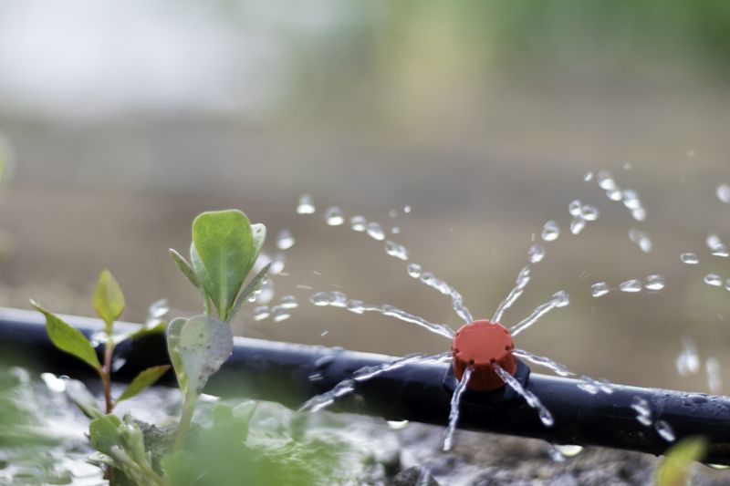 Watering System Installation in Aiken, SC